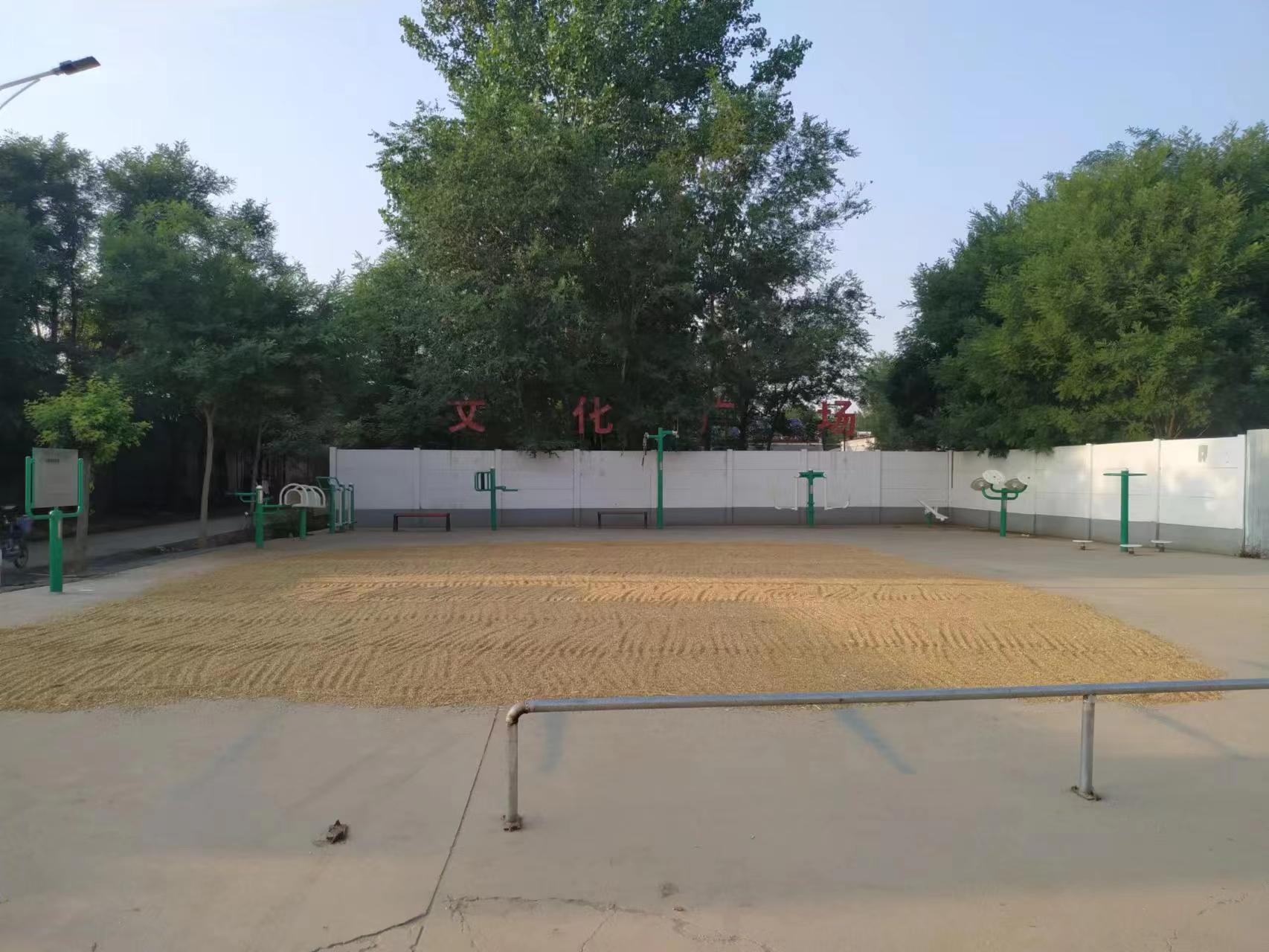 郭庄镇刘套庄广场