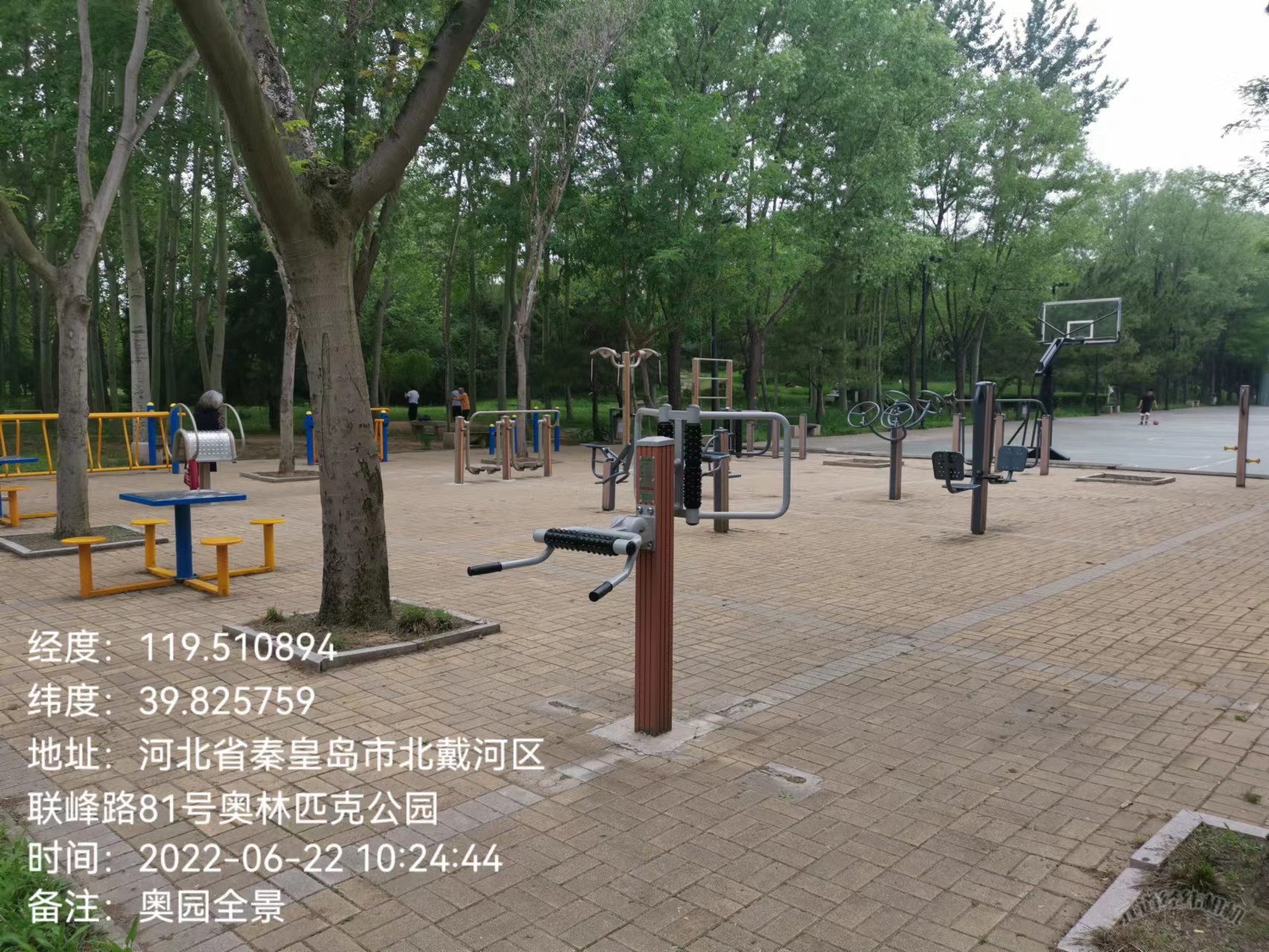 奥林匹克大道公园